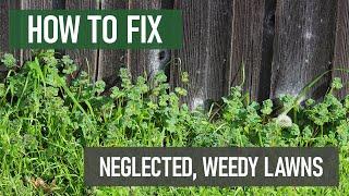 How to Fix Neglected Weed-Ridden Lawns DIY Lawn Care