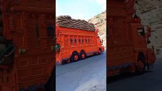 Beautiful Pakistani Truck #truck#foryou #pakistani