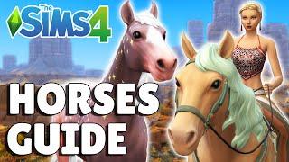 Everything You Need To Know About Horses And Horse Riding In The Sims 4 Horse Ranch