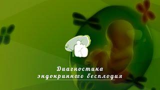 Диагностика эндокринного бесплодия