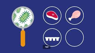 FSA Explains Salmonella