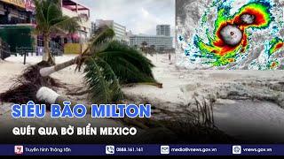 Cây đổ sập khi siêu bão Milton đã quét qua khu vực duyên hải Caribê của Mexico - Tin Thế giới- VNews