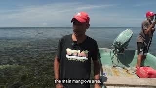 People of the Western Pacific The “Mangrove Man” of Papua New Guinea