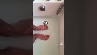 Foot Peel Mask  TIKTOK HACK  #shorts