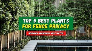 Top 5 Plants for Fence That Provide Extra Privacy  Privacy Fence Hedge Landscaping 