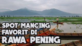 SPOT MANCING FAVORIT DI RAWA PENING  AMBARAWA  2024