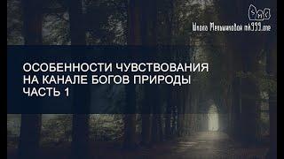 Особенности чувствования на канале богов природы. Часть 1