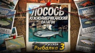 Мутант Лосось Южноамериканский + Дорадо Золотой. Патагонское Озеро. Русская Рыбалка 3.