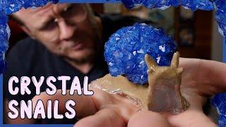 Making Moulds and Growing Crystals