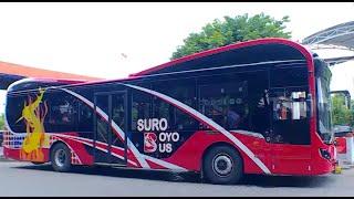 Keliling Surabaya Dengan Bus  TAU GAK SIH 250620