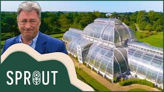 Top 50 Gardens In Britain  50 Shades Of Green With Alan Titchmarsh  Sprout