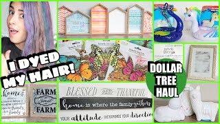 DOLLAR TREE HAUL MAY 2019 NEW FINDS