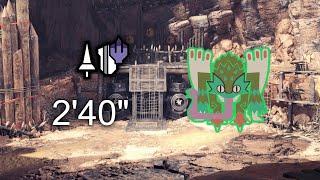 MHWIPC Pukei-PukeiCapture - Lance - 240