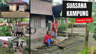 Di Kampung Terpencil Ini Warganya Sedang Panen Kopi Saat Pemilihan BPD tampak sepi karna ke kebun