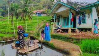 INDAHNYA  BIKIN IRI Pemandangan Alam Desanya Bikin Betah  Suasana Pedesaan Sunda Jawa Barat