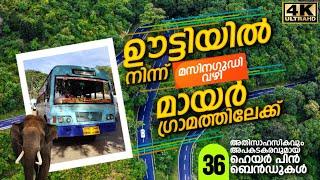 മസനഗുഡി വഴി മായാർ ഗ്രാമത്തിലേക്ക് ഒരു യാത്ര   Ooty to Mayar Bus Trip - Masanagudi  Mayar Bus Trip