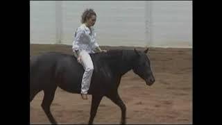 Stacy Westfall Championship Bareback & Bridleless Freestyle Reining with Roxy