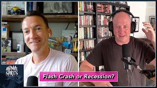 Flash Crash or Recession?  Animal Spirits 372