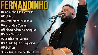 FERNANDINHO   Caminho No Deerto  Único.. Top 10 Hinos Gospel Mais Ouvidos de 2024