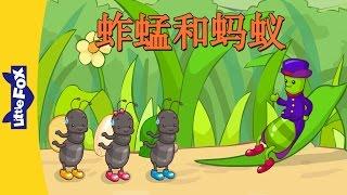 The Grasshopper and the Ant 蚱蜢和蚂蚁  Folktales 1  Chinese  By Little Fox