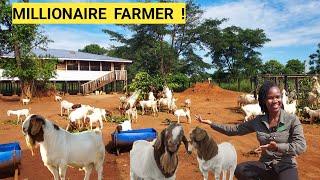 All You Need For A Simple Successful GOAT Farm Business Feeding Treatment Farm ROUTINE