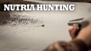 The Ultimate Nutria Hunting Video  Louisiana Nutria Hunt