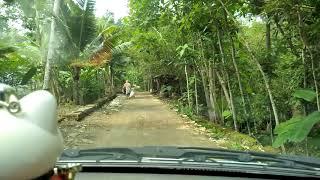 Perjalan Pulang dari desa Rowowungu - Rowokele - Gombong kab. Kebumen