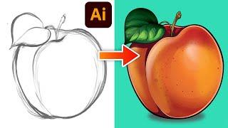 Adobe Illustrator Tutorial Vector Peach from Sketch 2023