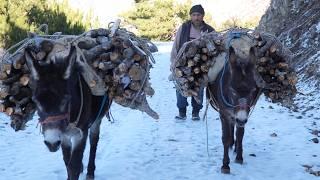 Waiting for Winter in Rural Life - Documentary