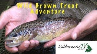 FLY FISHING Small Rivers for Brown Trout