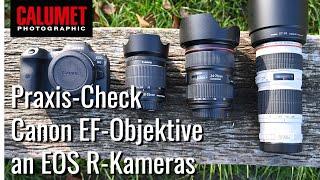 Canon EF-Objektive an EOS R-Kamera  Der Praxis - Test