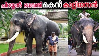 ചിറയ്ക്കൽ കാളിദാസൻ  #Nattanakatha Chirakkal Kalidasan Story  Kerala Elephant Story  Sanis Media