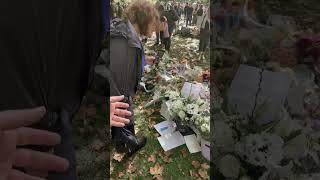 دسته‌های گل و یابود برای ملکه در کاخ باکینگهام رویال 