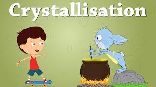 Crystallization  #aumsum #kids #science #education #children