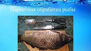 Тема занятия Первичная обработка рыбы Борисевич Е С