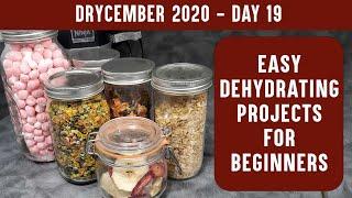 EASY DEHYDRATING PROJECTS FOR BEGINNERS Learn to Dehydrate with Easy Recipes - DRYCEMBER