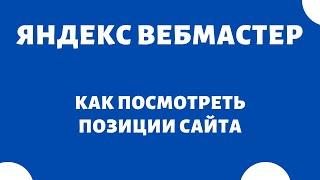 Проверка позиций сайта посмотреть позиции сайта Яндекс вебмастер