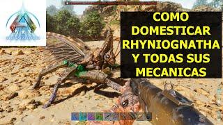 Ark Survival Ascended Como DOMESTICAR RHYNIOGNATHA y toda sus funciones