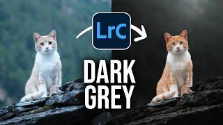 Create THIS DARK GREY Style using ONLY LIGHTROOM