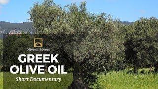 The Art of Making Greek Olive Oil