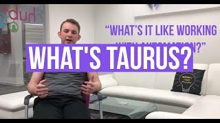 Whats Taurus Business Automation?