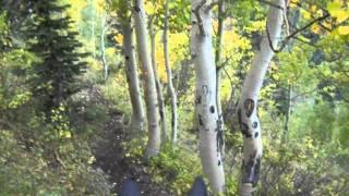 Colorado Wilderness Horseback Ride