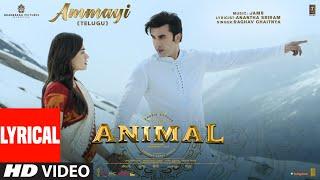 ANIMAL Ammayi Lyrical Video  Ranbir KapoorRashmika M  Raghav Pritam Anantha  Sandeep Reddy V