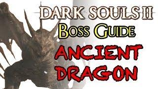 Dark Souls 2 Boss Guide Ancient Dragon