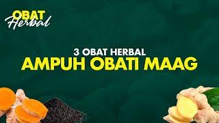 Tiga Obat Herbal Terbukti Bisa Mengobati Sakit Maag  lifestyleOne