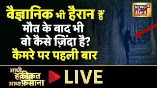 Aadhi Haqeeqat Aadha Fasana LIVE  हवा में झूलते पेड़ की कहानी  Mysterious  Sunday  News18 India