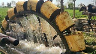 Persian Wheel Method of Irrigation  Water Wheel Irrigation System  Rehat Irrigation