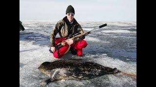 Hylkeen Metsästys Seal Hunting 2019 Jakso 4