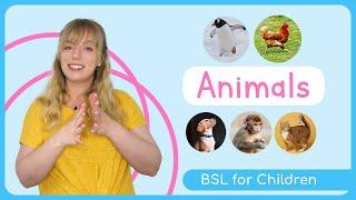 Sign Language for Children  Animals  BSL for Kids