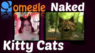 Naked Pussy Cats On Omegle